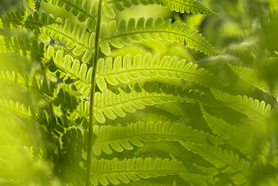 Lumière naturelle et fenêtre, une histoire de bien-être