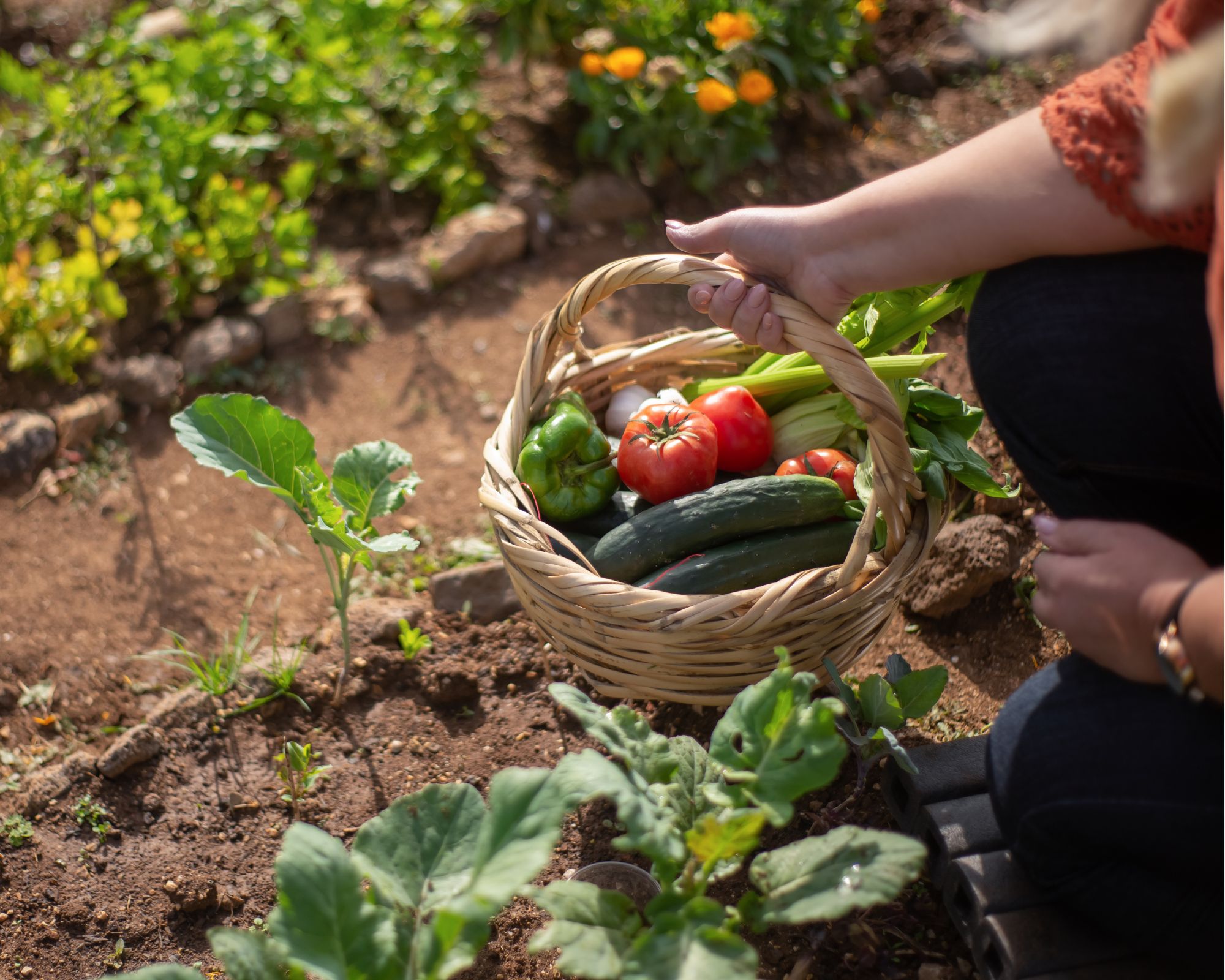 Un meuble de jardinage vous sera d'une grande aide dans votre activité